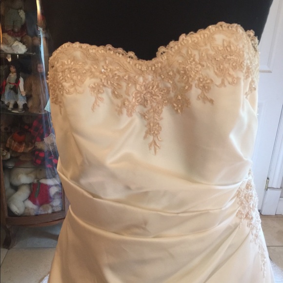 David’s Bridal Ivory & Champagne with lace and sequins 16w - Picture 2 of 13